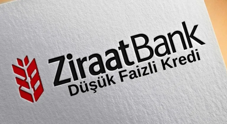 50 Bin Liralık İhtiyaç Kredisi 12 Ay Taksit İle Ayda Ne Kadar Ödenir?